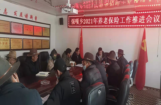 强嘎乡组织召开2021年人社工作会议_林周县要闻_林周县人民政府