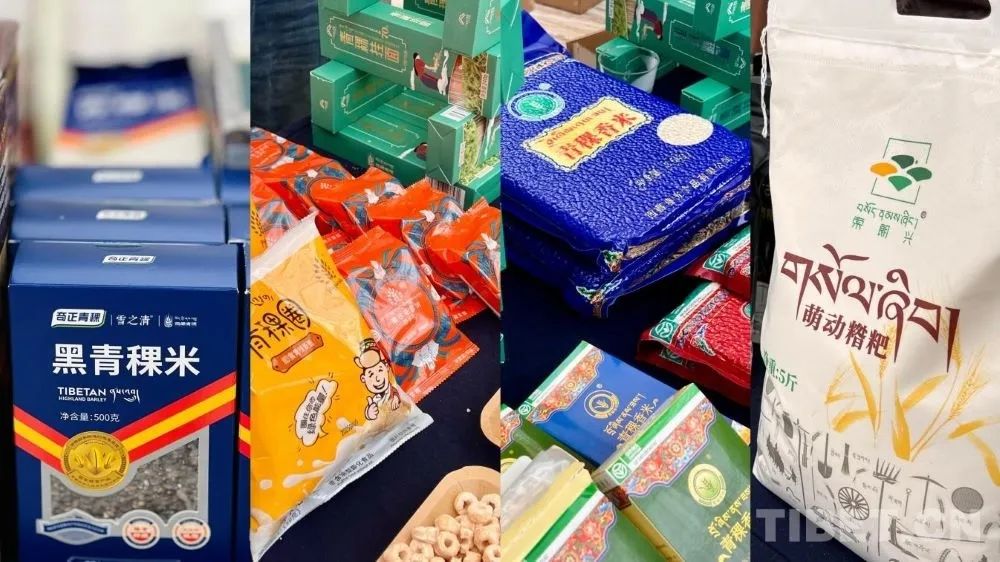 西藏首届青稞产业发展大会在拉萨举办_林周县要闻_林周县人民政府